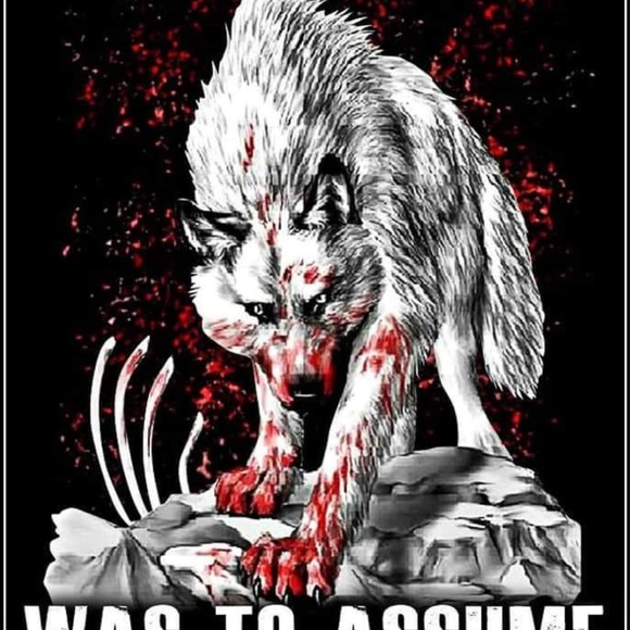 Meet your Posher, Jason - Picture 1 of 1